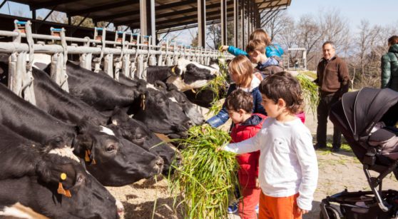 Visitez les fermes et les animaux en Catalogne