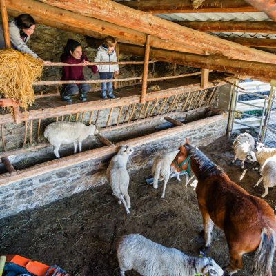 Une expérience rurale à 360º en famille à Pirineus – Noguera Pallaresa et Valls d’Àneu